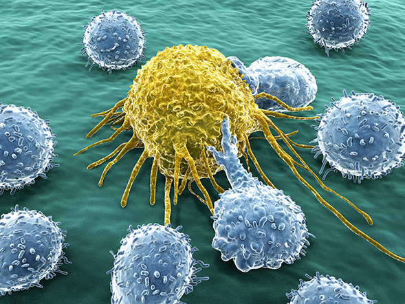 Titleimage: BIC - the Bern Immunology Club